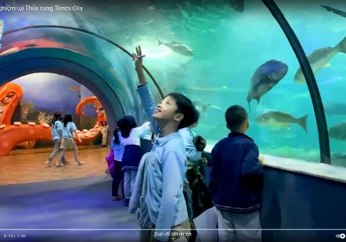 Vì sao học sinh Tây Hà Nội yêu thích học tiếng Anh?