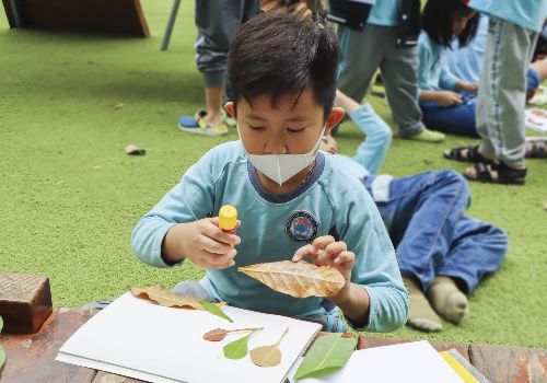 Tiết học mùa thu: Vẽ tranh bằng lá cây