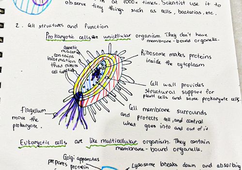 Lớp 6AE (Song ngữ định hướng KHTN) – Phương pháp học tập chủ động
