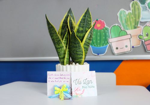 Vu Lan báo hiếu – WHSers trao gửi yêu thương qua những món quà nhỏ