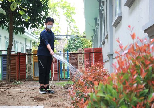 Góp cây xanh – Sạch môi trường – Tăng đề kháng