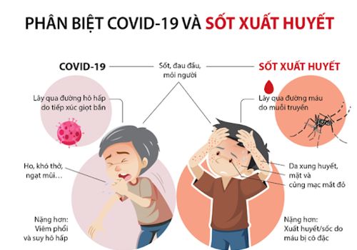 Phân biệt triệu chứng Sốt xuất huyết và Covid-19
