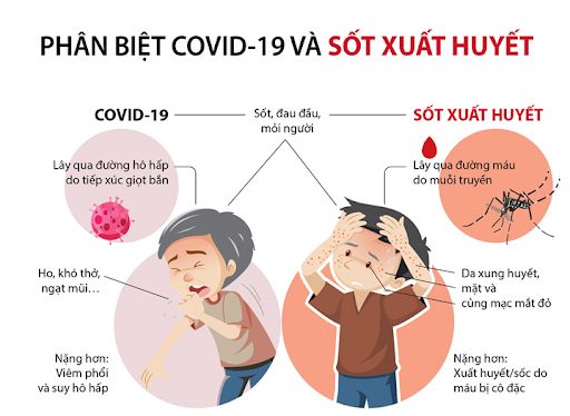 Phân biệt triệu chứng Sốt xuất huyết và Covid-19