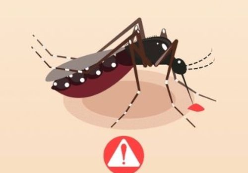 Đề phòng dịch sốt xuất huyết trong đại dịch Covid-19