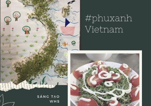 Cùng con “Phủ xanh Việt Nam”